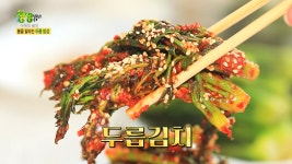 보성 둥지농원 이형두릅 카멜레온두릅 산지직송 역전의부자농부 청년농부 산나물 국산 100% : 보성 둥지농원