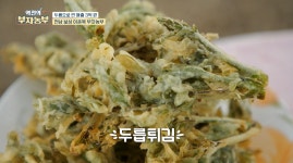 보성 둥지농원 이형두릅 카멜레온두릅 산지직송 역전의부자농부 청년농부 산나물 국산 100% : 보성 둥지농원