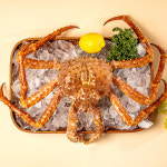 킹콩농수산 활 브라운킹크랩 특A급 프리미엄 수율보장 1.6KG 내외 사계절 러시아 블루 레드 킹크랩 : 킹콩농수산 스토어