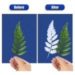 태양색지인쇄사 | Cyanotype 용지 60 Pcs A5 태양 인쇄 키트 고감도 자연 그림 : 에스디원몰-SD