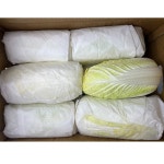 수입 알배추 쌈배추 10kg : 무진농산