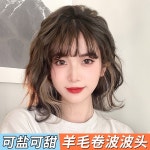 대원오트바이상회 | 여성 단발머리 가발 머리 파마 펌 30cm 단발 웨이브 인모 브릿지 1 밀크티 브라운 미스트 브론즈 +헤어네트 : 현원샵7