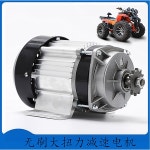양정구판장 - 거제시 | 브러쉬리스 영구 챔버 안정기 AC 24 3상 200W 최대양정8M 키트 24V500W : 포터즈