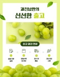 고당도 특 샤인 머스켓 2k 16000원 초특가 : 과일에 진심인 남자