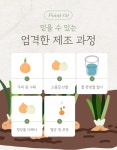 카페엘림;해마루건강원 | 감사건강원 양파즙 , 한팩에 115g,50팩,무안양파 : 원마루시장