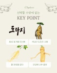 카페엘림;해마루건강원 | 감사건강원 도라지즙, 한포에 115g, 총 50포 , 국내산 : 원마루시장