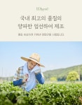 카페엘림;해마루건강원 | 감사건강원 양파즙 , 한팩에 115g,50팩,무안양파 : 원마루시장