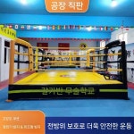 접이식 복싱링 복싱장 체육관 링 트레이닝 킥복싱 보관용이 경기장 : 노바픽0207