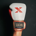 엑스엑스엑스복싱 | 엑스블로우 2TYPE 프리미엄 복싱 글러브 6색상 : 엑스블로우 X-BLOW
