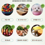 주식회사 뉴텍삼원촉매 | 쎄니올 이산화염소수 뿌리는 살균소독제 곰팡이제거 장난감소독 500ml : 뉴텍삼원촉매