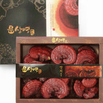 국산 영지버섯 500g (특품) : 버섯이야기