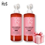에스투에이치 영상공작소 | H2S 에이치투에스 컬러앤펌 애시드클리닉 샴푸 2개 : 소망퓨어77