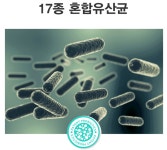 주식회사 닥터웰핏 | 닥터바이투 웰핏연구강유산균 강토클 마크밸런스 구강케어 츄어블 600mg 30정, 2개 : 웰핏컴퍼니