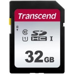 초월 디지털 카메라 32GB 메모리 카드 캐논호환 파워샷 ELPH 180 보안 디지털SD 1-Pack : 나인투몰샵