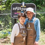 진짜 산삼 산양삼 장뇌삼 한뿌리 용돈박스 이벤트 부모님 생신 환갑 칠순 남편생일 선물 : 이장형님네 농장