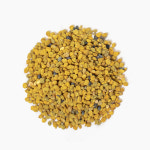 벌화분 벌꿀화분 비폴렌 1000g 국내산 500g X 2통 : 두손애약초
