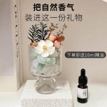 늘빛웨어 | 드라이 플라워 룸 가정용 침실 내 롱웨어 DIY 소규모 선물 : 늘빛가람결