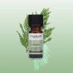 블리스크래프트 | 아로마블리스 티저랜드 사이프러스 와일드 크래프트 tisserand 영국오일 9ml 아로마 에센셜오일 : 아로마블리스