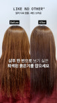 라이크노아더 컬러 지속 앰플 매트 브라운 15ml, 5개 : Like No Other
