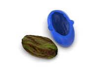 Mold Brothers Realistic Pistachio Mold : 미페이스트리