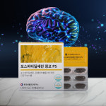 포스파티딜세린 징코 ps 한국생활건강연구소 60캡슐, 4개 : 한국생활건강연구소