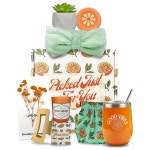 와이즈썬(wise sun) | Sun Wise 여성용 오렌지 테마 선물 바구니 디자인 패키지 에서 케어 1 White Gift Baskets for : 프라임World