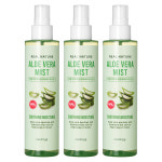 코스메이트 리얼 네이처 수딩 알로에 베라 미스트 대용량 200ml, 3개 : 코스메이트