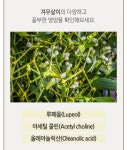 에스엠웰빙(SM웰빙)건강약초 | 신선약초 국산 겨우살이 즙 엑기스 110ml 62포 면역력 건강즙 : 웰빙인스토어