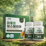 CNB 참좋은 보스웰리아 정 보스웰릭산 추출물 본사 직배송 최신제조 2병 : 젤리핑크스토어