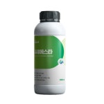 씨에스타 500mL-아스코필럼노도섬 해조추출물+천연 식물 추출물 : 오늘의씨앗