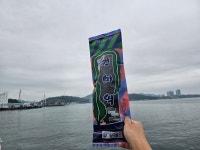 경아의여수카빙교실 | 남해안 산모 돌미역 70g, 1개 : 여수 경아물산