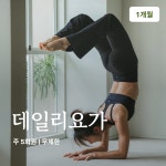 온라인요가온 - YOGAON 데일리요가 1개월 수강권 : 온라인요가온