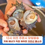 종순호(해물아저씨) | 거제 자연산 뿔소라 1kg 해녀채취 산지직송 캠핑 해물구이용 : 아저씨푸드