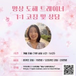 도해TR 1:1 상담 및 코칭 : 도해명상