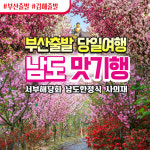 (주)천화국제여행사 | 부산출발 남도한정식 맛기행여행사 강진 서부해당화 리무진 버스여행 김해출발 : 경희여행사