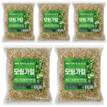 모링가잎차 모링가차 300g, 5개 : 건강중심.