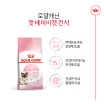 로얄캐닌 마더앤베이비캣 4kg 어린 고양이 사료 : 로얄캐닌 전문점