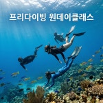 프리다이빙 원데이클래스 서울 경기 : 원스다이브