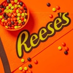 Reese s Pieces 땅콩 버터 캔디, 113.4g(4온스) 박스 (24개 팩) : 다슈러닝