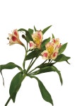 CP-38 식물 플랜테리어 사진 포토 액자 홈인테리어 방꾸미기 카페 포스터 A2 A3 A4 01 : 체크워크 스튜디오