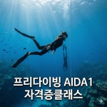 프리다이빙 AIDA1 라이센스과정 서울 경기 : 원스다이브