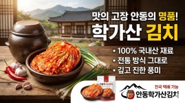 영주학가산김치세현상사 | 학가산김치 국내산100% 포기김치4kg+총각김치4kg 8kg, 1개 : 안동학가산김치도청점