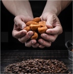 커피콩빵 오리지널 크림치즈 커스터드 300g 800g : 미스터 타이쿤