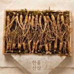 셀시어스(한울산삼) | 백부산삼 산양삼 산양산삼 장뇌삼 5~6년근 못난이 30뿌리 외 : 한울임업