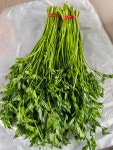 당일수확 무농약 미나리 산지직송 돌미나리 순천만 청정지역 제철 나물 1kg : 순천역전시장채소가게