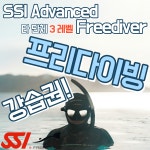 어드밴스드 프리다이빙 3레벨 20M 중급과정 라이센스 취득교육 4일 과정 : 안개프리다이빙