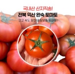 폴탑농산물마트 | 전북 익산 완숙토마토 5kg 1박스 : 폴탑농산물