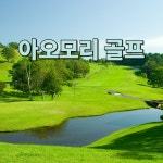 아오모리 앗피 리조트 애플랜드 호텔 : 골프 디데이트립