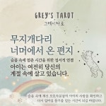 그레이타로, 무지개다리 너머에서 온 편지 (펫로스 펫타로 리딩 상담) : 그레이타로