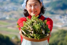 천복농원 두릅 1kg, 2kg 봄의향기 : 천복농원